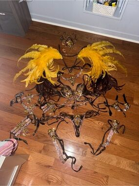 Yellow & Brown Feather Carnival Costume Set